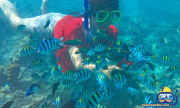 snorkeling di wisata pulau tidung